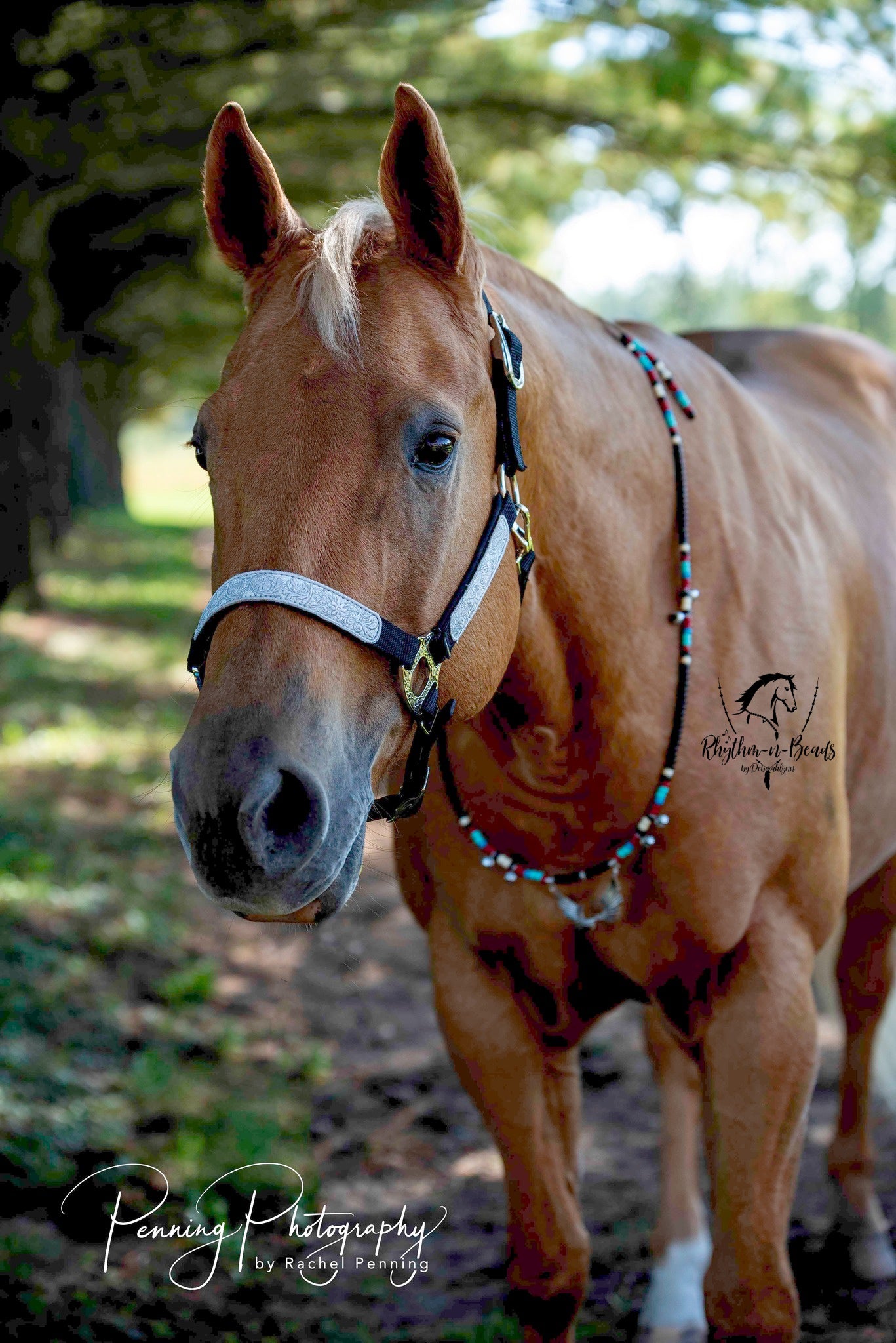 ZUNI Rhythm Bead Necklace