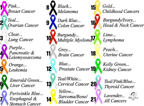 BRIDLE CHARM Cancer Awareness Ribbon