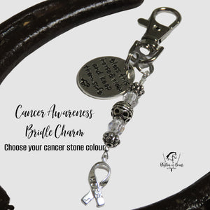 BRIDLE CHARM Cancer Awareness Ribbon