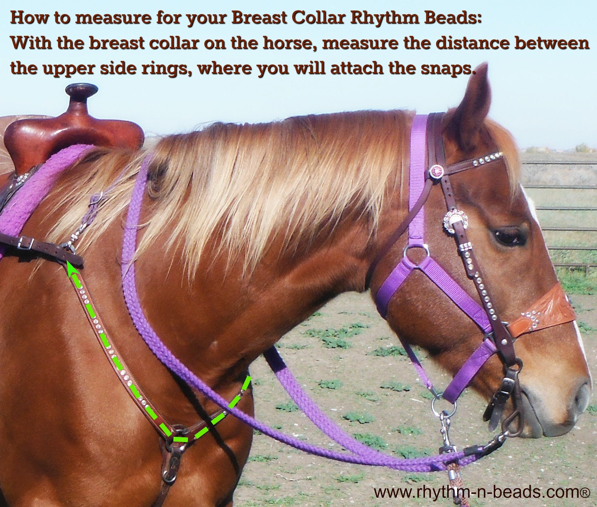 Breast Collar Rhythm Beads,PICK YOUR COLOURS, Trail Bells, Bear Bells, Rhythm Beads,Breast Plate Bells, Horse Necklace, Western Riding,